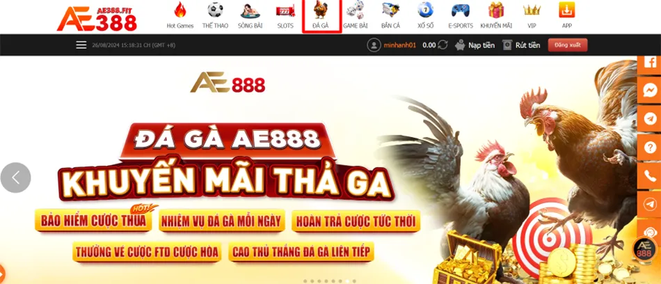 Hướng dẫn cách tham gia đá gà AE388 đơn giản, nhanh chóng